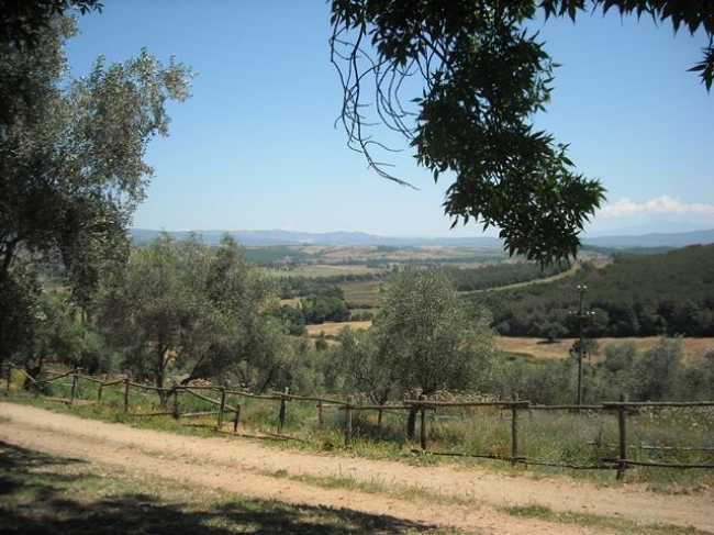 Poggio all Istrice Maremma Toscana Ribolla